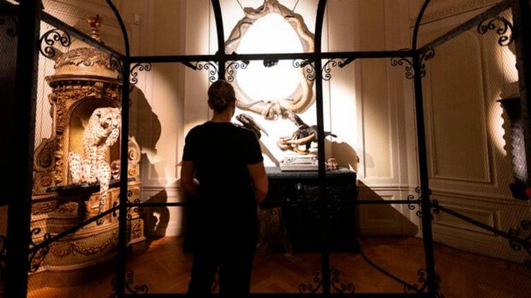 A person visits the Art Zoo Museum in Amsterdam, the Netherlands, on June 17, 2025. The museum, which blends taxidermy with fine art, opened to the public on June 26, 2025. (Photo by Sylvia Lederer/Xinhua)
