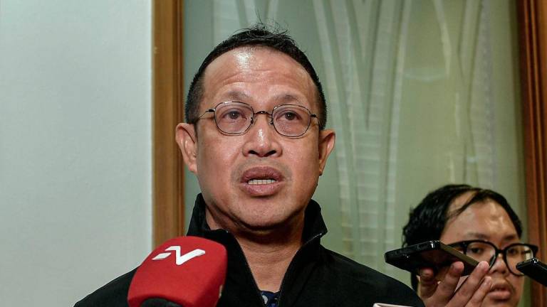 BERNAMAPIX