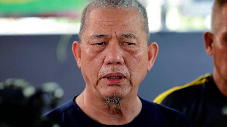 BERNAMApix