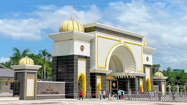 Pix for representational purposes - Adib Rahwi Yahya/theSun
