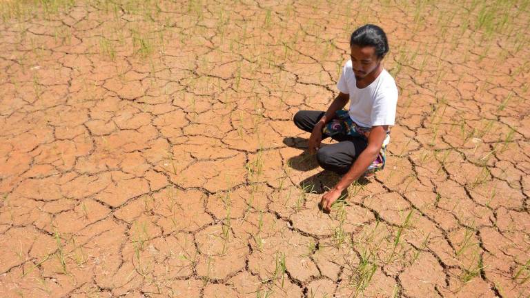 Chung said governments must invest in climate-smart agriculture, coastal protection and regional collaboration to safeguard food systems and rural livelihoods. – MASRY CHE ANI/THESUN