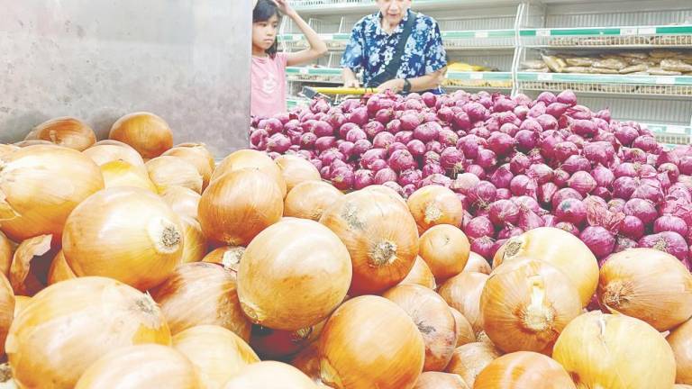 Norsida acknowledged the potential to reduce Malaysia’s reliance on imports, but cautioned that the future of onion farming locally remains uncertain. – ADIB RAWI YAHYA /THESUN