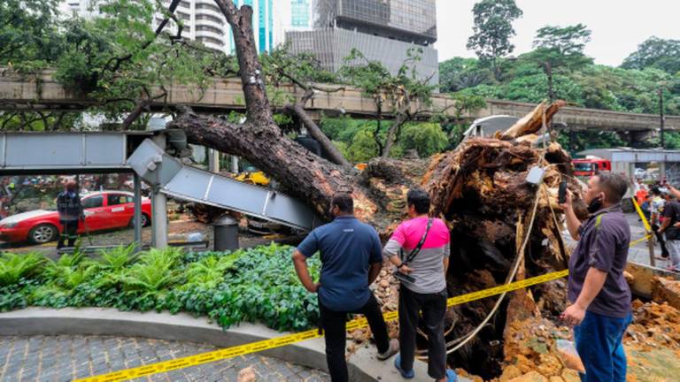 Pix for representational purpose only - Amirul Syafiq/theSun
