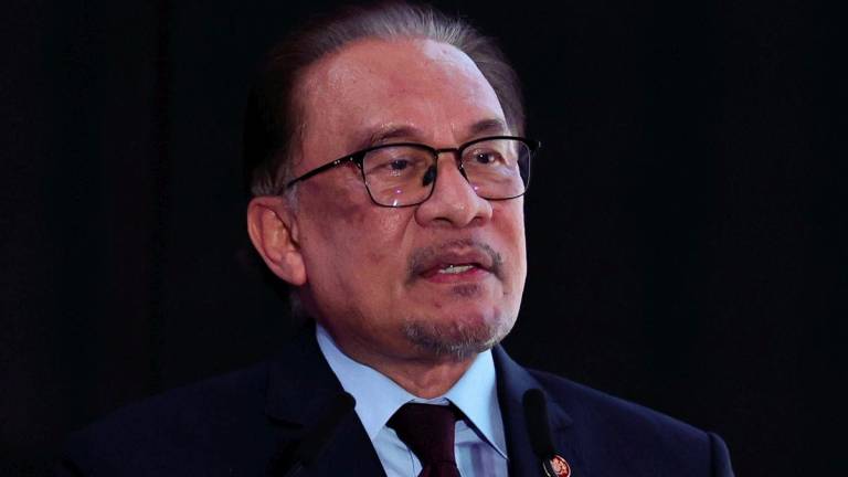 BERNAMApix