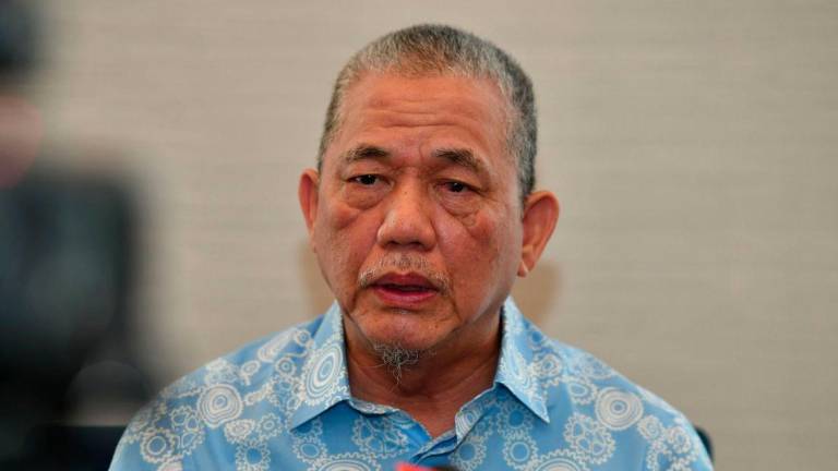 Deputy Prime Minister Datuk Seri Fadillah Yusof - BERNAMAPIX