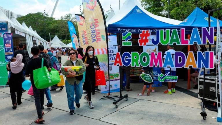 Image for visual purposes - Photo by BERNAMA
