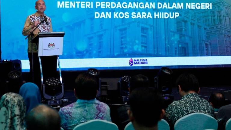 - BERNAMApix