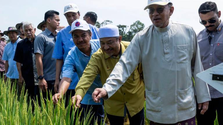 Perdana Menteri Datuk Seri Anwar Ibrahim. FotoBernama