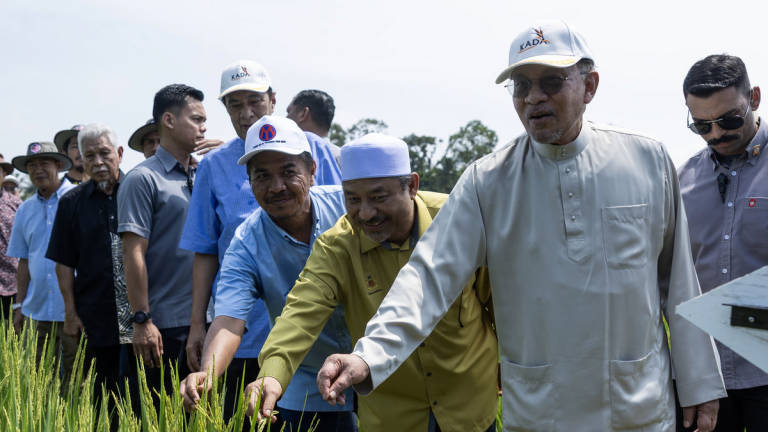 Prime Minister Datuk Seri Anwar Ibrahim surveys the paddy planting project during his visit to the state of Kelantan, at the Kemubu Agricultural Development Authority (KADA) area in Desa Gemalai Baruh Padi Alami today. – BERNAMA