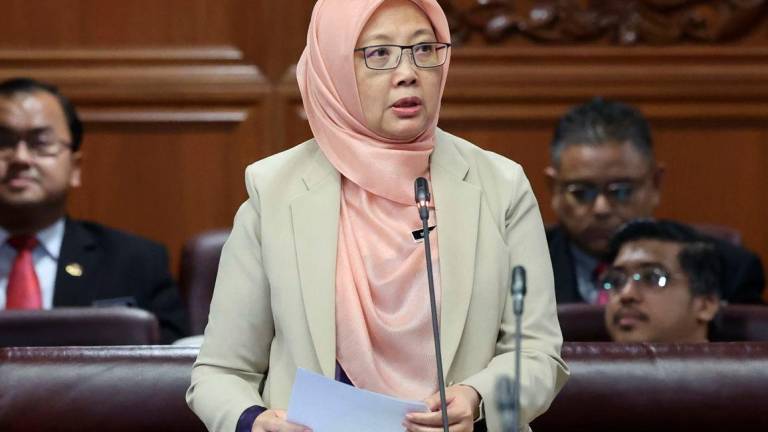 Bernamapix