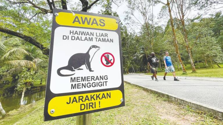 A signboard has been put up at the botanical garden to warn visitors of the presence of otters.– ADIB RAWI YAHYA/ THESUN