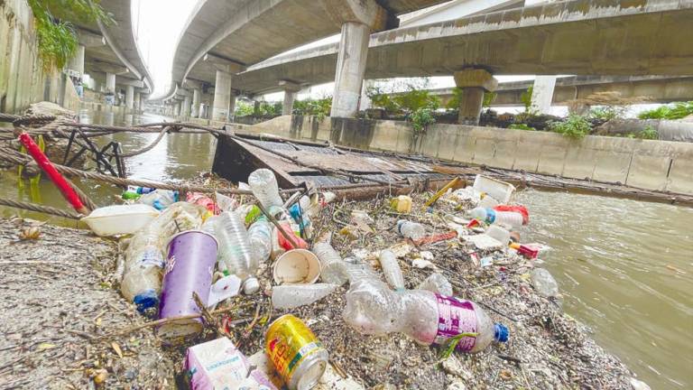 Mohd Yusoff said inadequate regulations contribute to the presence of plastic waste in water bodies, harming aquatic life and ecosystems. – ADIB RAWI YAHYA/THESUN