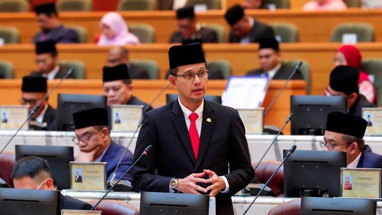 BERNAMAPIX