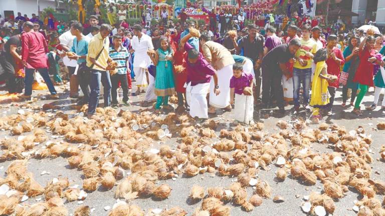 Coconuts are integral to Hindu rituals, symbolising the breaking of one’s ego and serving as offerings to the gods, making them indispensable to the festivities. – MASRY CHE ANI/THESUN