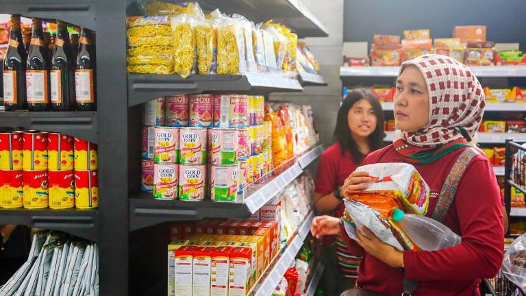 Williams said while moves such as raising the minimum wage may narrow inequality, the M40 gain nothing from such interventions. – ADAM AMIR HAMZAH/THESUN