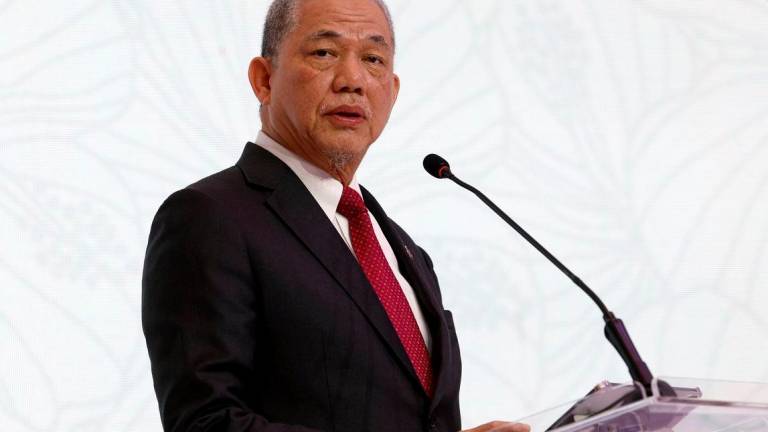 Deputy Prime Minister Datuk Seri Fadillah Yusof. Bernamapix