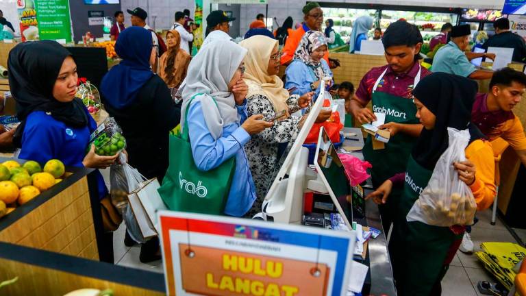 Pix for representational purposes - ADAM AMIR HAMZAH / THESUN