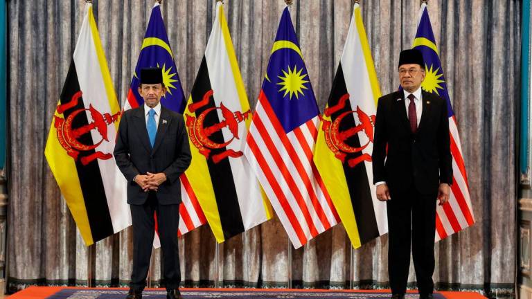 Bernamapix