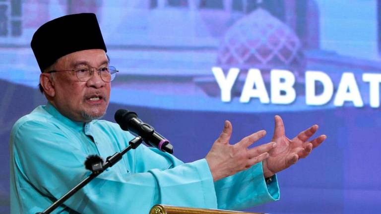BERNAMAPIX