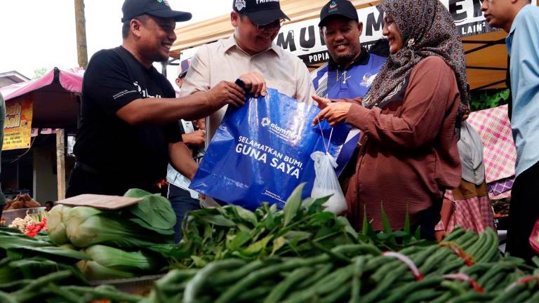 - BERNAMApix