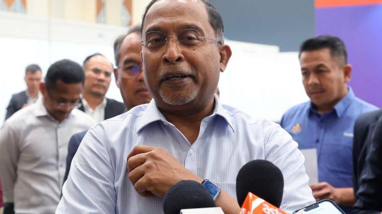 Bernamapix