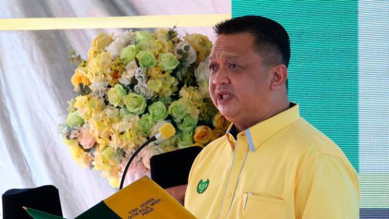 Raja Muda of Perlis Tuanku Syed Faizuddin Putra Jamalullail - Photo by BERNAMA
