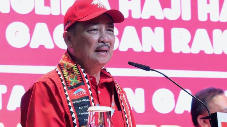 BERNAMAPIX