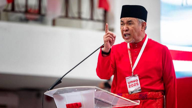BERNAMAPIX