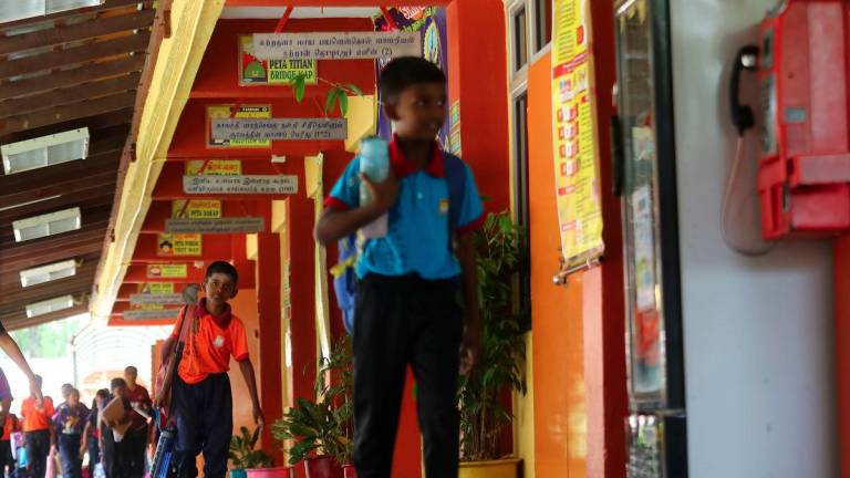 Pix for representational purposes - Amirul Syafiq/theSun