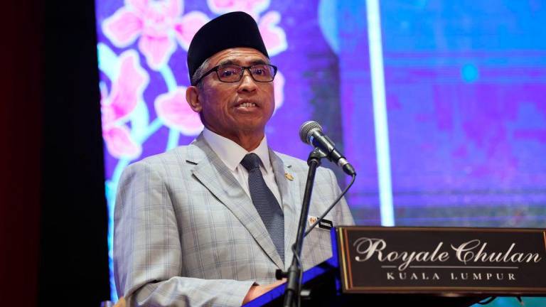 BERNAMAPIX