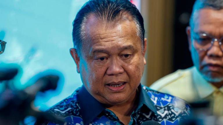 Bernamapix