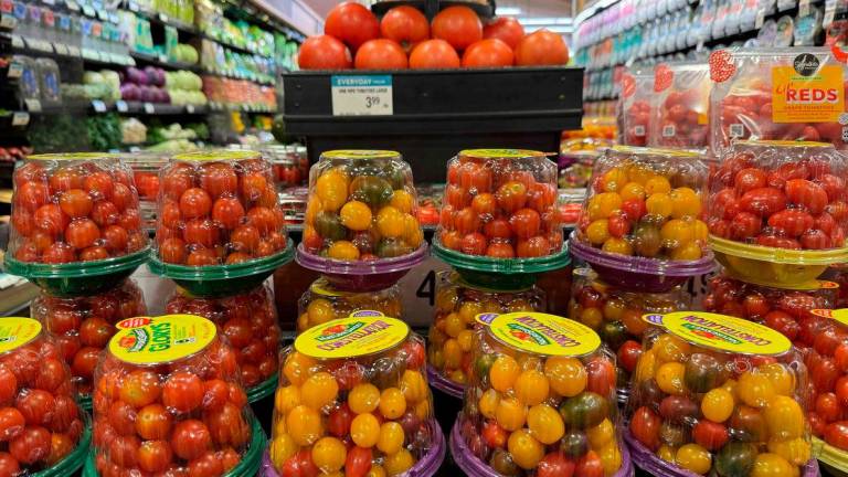 Tomatoes from Mexico are displayed on a grocery store shelf on July 14, 2025 in San Anselmo, California - Justin Sullivan/Getty Images/AFPPix