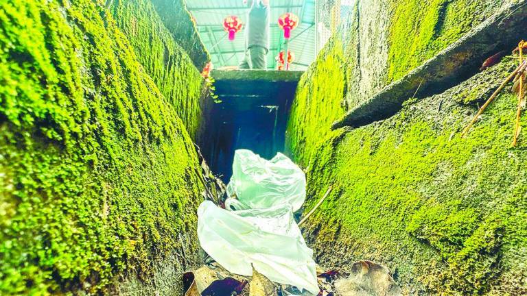 Ikram said plastic bags are made from low-density polyethylene and can take more than 500 years to break down. – ADAM AMIR HAMZAH/THESUN