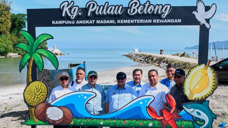 - BERNAMApix