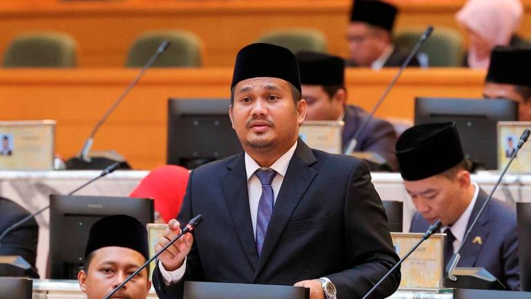 Johor Works, Transport, Infrastructure and Communication Committee chairman Mohamad Fazli Mohamad Salleh. - BERNAMA