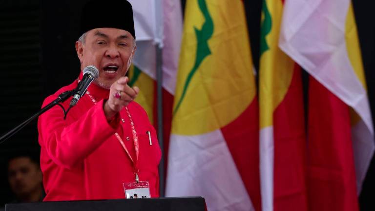 BERNAMAPIX