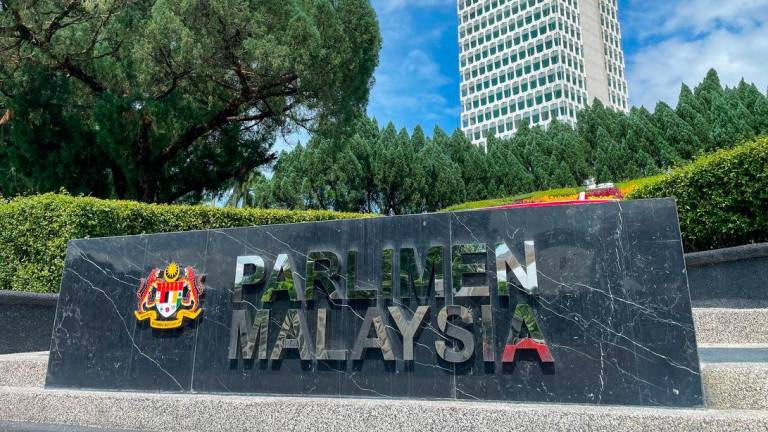 Pix for representational purposes - Adib Rahwi Yahya/theSun