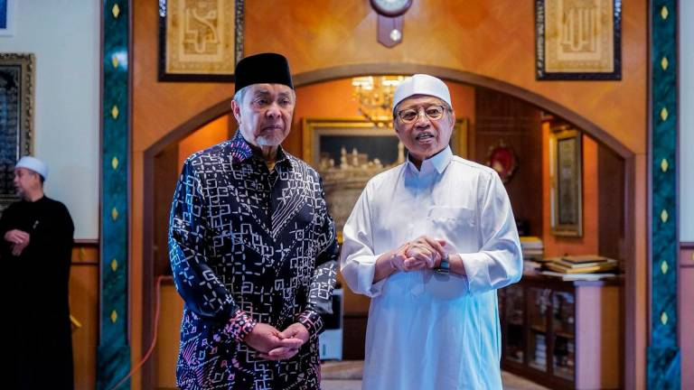 Credit: Zahid Hamidi / FB