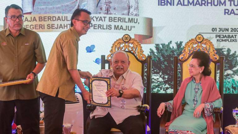 BERNAMApix