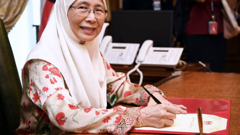 DPM Wan Azizah has audience with Agong's mother