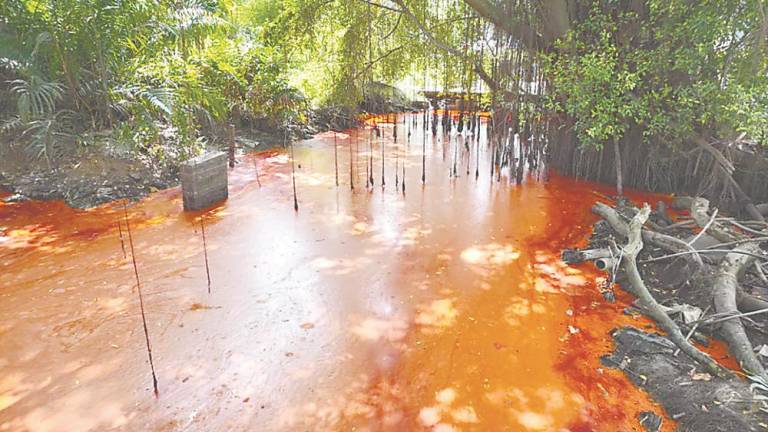 Faizuan said although Malaysia has established river monitoring systems, many rely on periodic sampling, which may not capture episodic events such as illegal discharges. – Pic from LUAS Facebook page