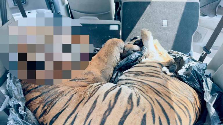 Credit - Jabatan Keselamatan Dalam Negeri &amp; Ketenteraman Awam PDRM/FBPIX