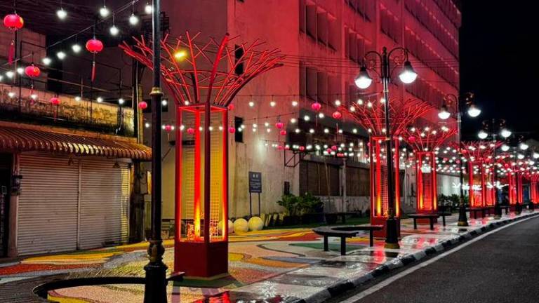 Segamat lights up for CNY with inaugural lantern display by town council