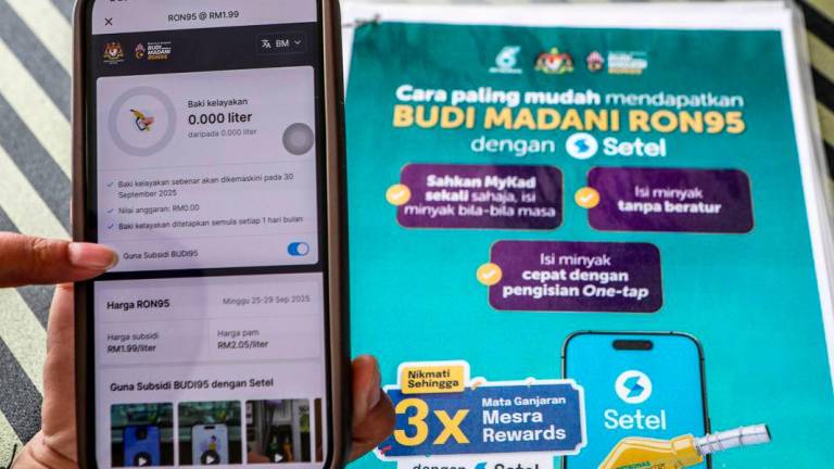 Pix for visual purposes. Bernamapix