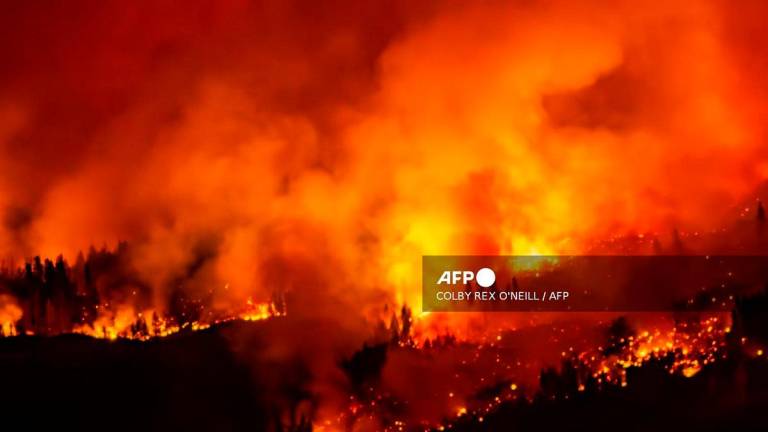 A wildfire burns on Mount Underwood near Port Alberni, on Vancouver Island, British Columbia, on August 12, 2025. - Colby Rex O’Neill / AFP