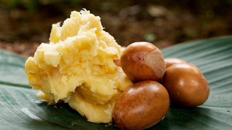(FILES) Shea butter and shea nuts are displayed on a green leaf in Jos on September 15, 2019. - Ifiok Ettang / AFP