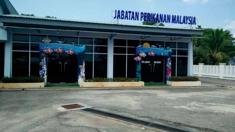 Gambar Kredit: Jabatan Perikanan Negeri Sembilan /Facebook