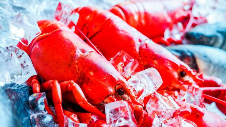 For representational purposes only-Lobsters. PEXELSpix