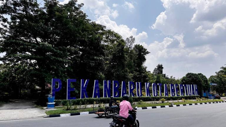 - BERNAMApix