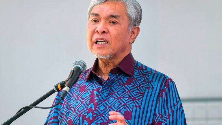 Bernamapix